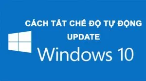 Tắt update win 10 trên máy surfaceupdate win 10?